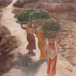 牧草をはこぶ女達(デカン高原)